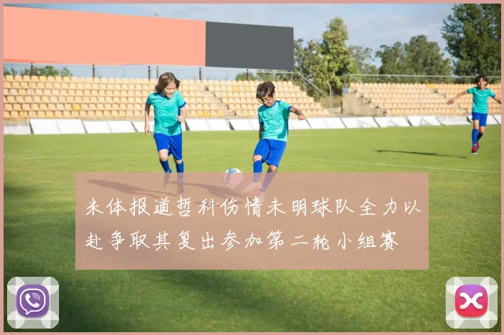 米体报道哲科伤情未明球队全力以赴争取其复出参加第二轮小组赛