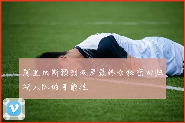 阿里纳斯预测浓眉最终会秘密回归湖人队的可能性